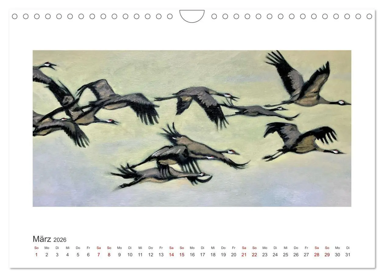 Bild: 9783457353844 | Auf leichten Schwingen - Zugvögel (Wandkalender 2026 DIN A4 quer),...