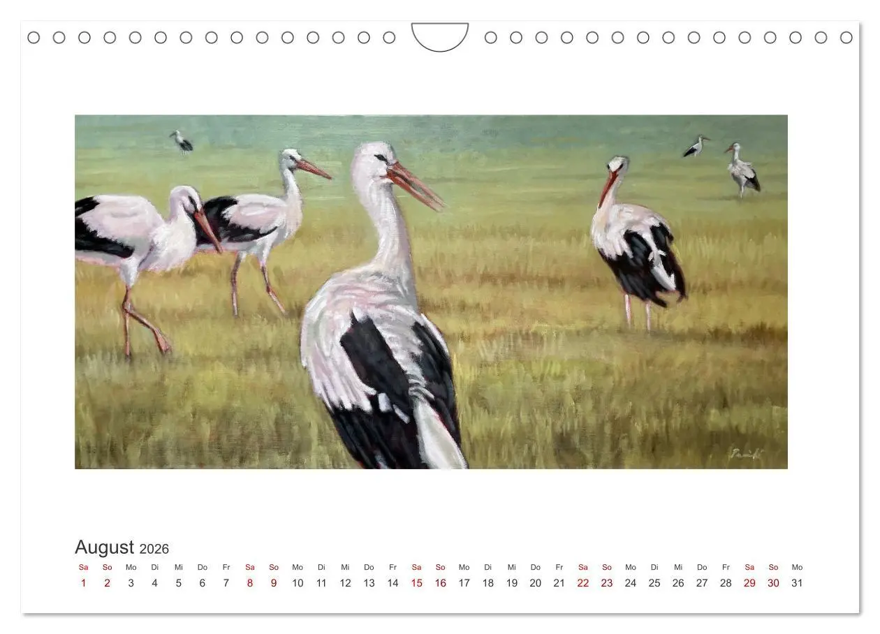 Bild: 9783457353844 | Auf leichten Schwingen - Zugvögel (Wandkalender 2026 DIN A4 quer),...