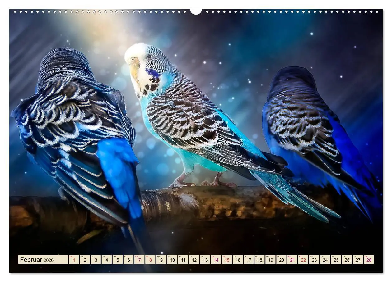 Bild: 9783457733844 | Wunderschöner Wellensittich (hochwertiger Premium Wandkalender 2026...