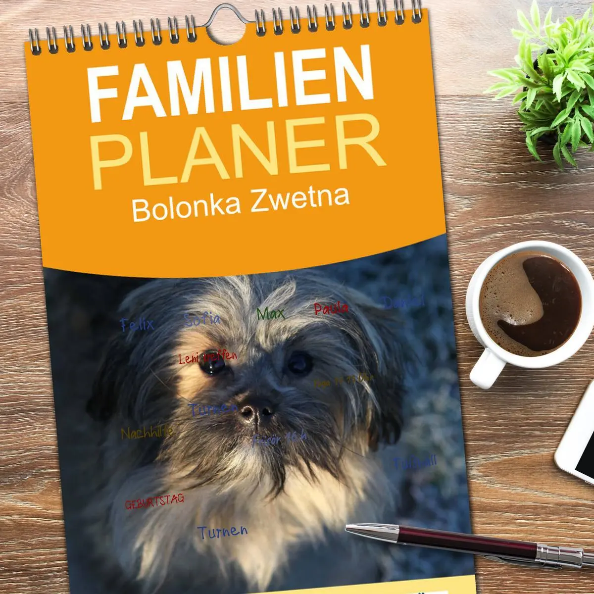 Bild: 9783516513844 | Familienplaner 2026 - Bolonka Zwetna mit 5 Spalten (Wandkalender,...