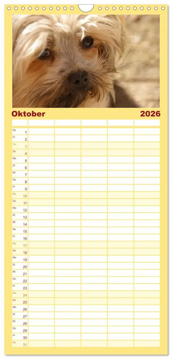 Bild: 9783516513844 | Familienplaner 2026 - Bolonka Zwetna mit 5 Spalten (Wandkalender,...