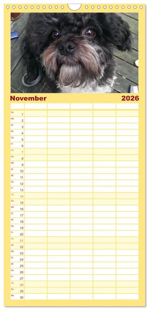 Bild: 9783516513844 | Familienplaner 2026 - Bolonka Zwetna mit 5 Spalten (Wandkalender,...
