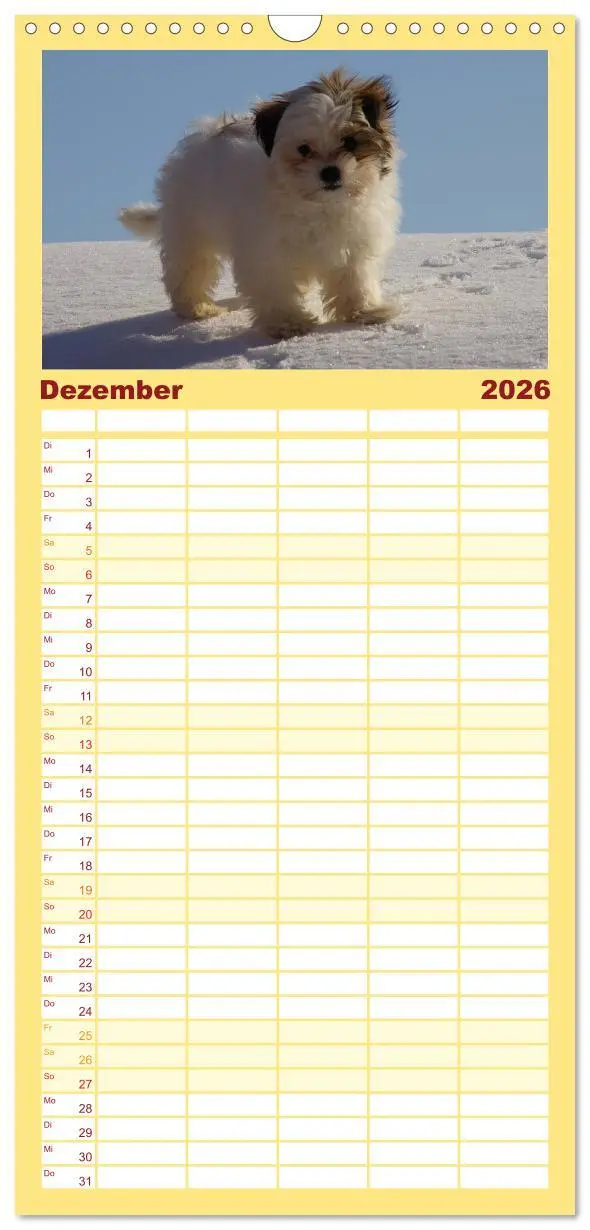 Bild: 9783516513844 | Familienplaner 2026 - Bolonka Zwetna mit 5 Spalten (Wandkalender,...