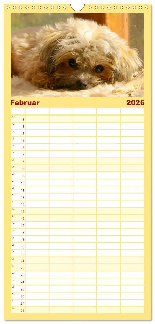 Bild: 9783516513844 | Familienplaner 2026 - Bolonka Zwetna mit 5 Spalten (Wandkalender,...