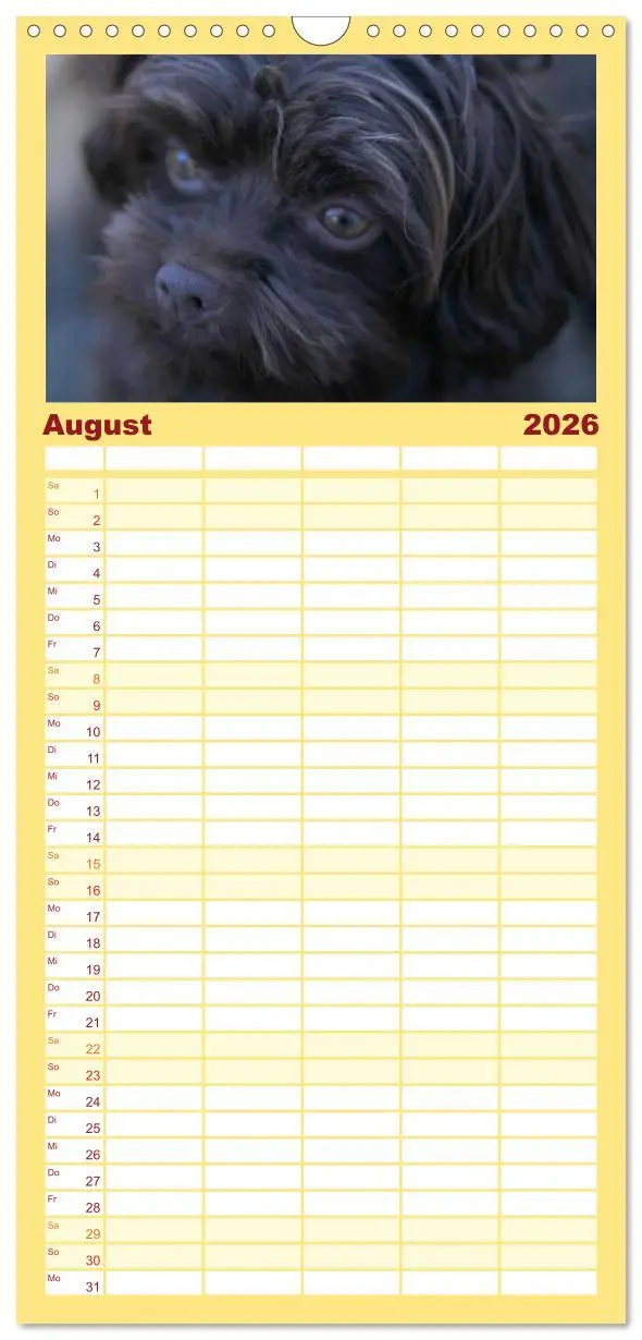 Bild: 9783516513844 | Familienplaner 2026 - Bolonka Zwetna mit 5 Spalten (Wandkalender,...