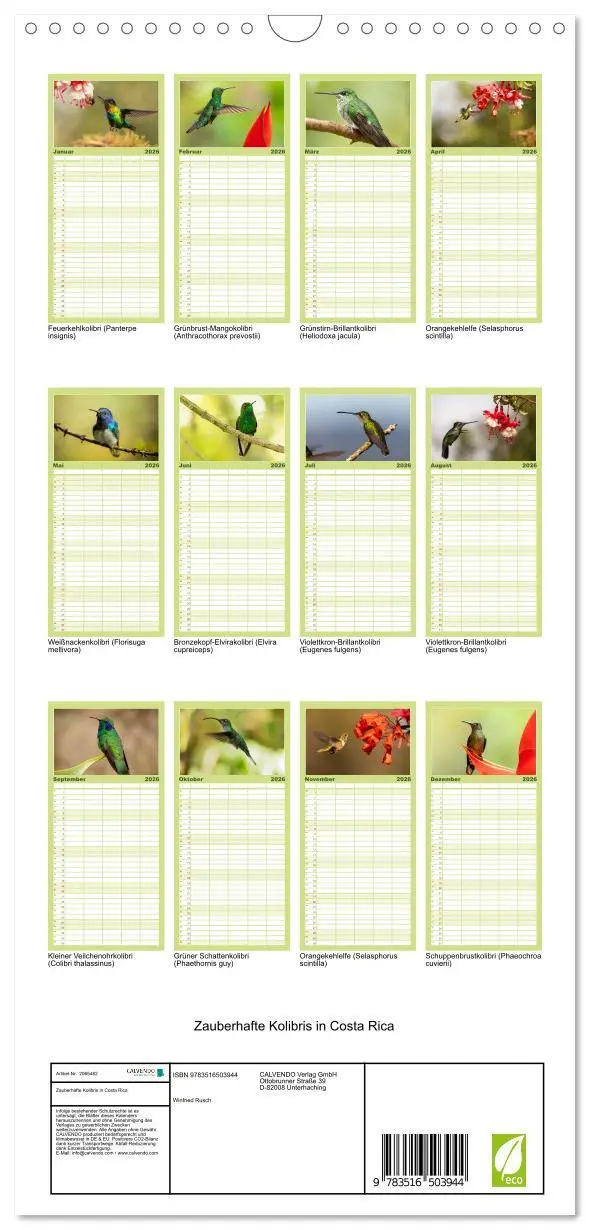 Bild: 9783516503944 | Familienplaner 2026 - Zauberhafte Kolibris in Costa Rica mit 5...