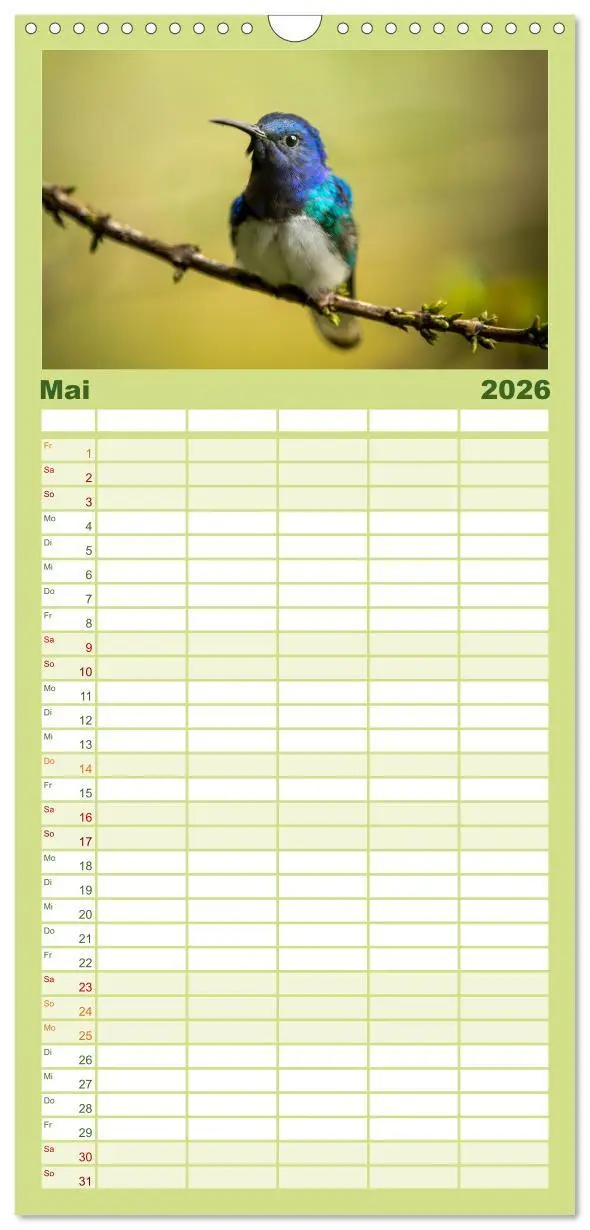 Bild: 9783516503944 | Familienplaner 2026 - Zauberhafte Kolibris in Costa Rica mit 5...
