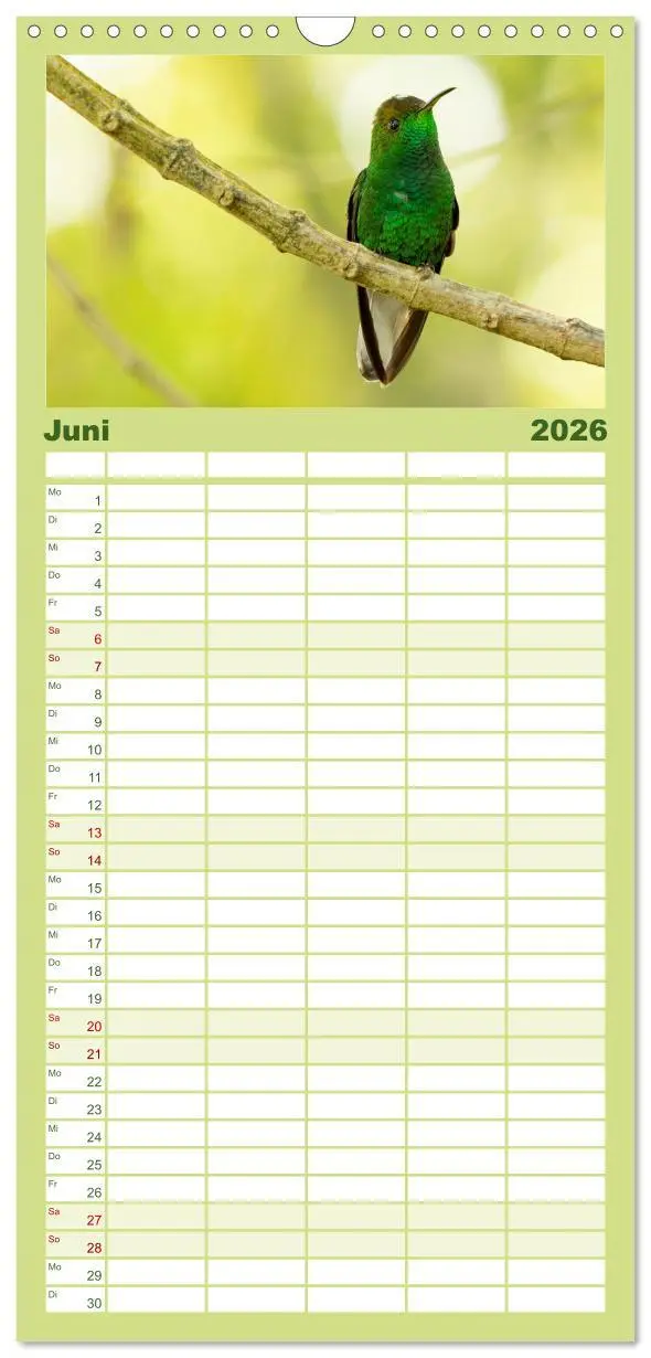 Bild: 9783516503944 | Familienplaner 2026 - Zauberhafte Kolibris in Costa Rica mit 5...