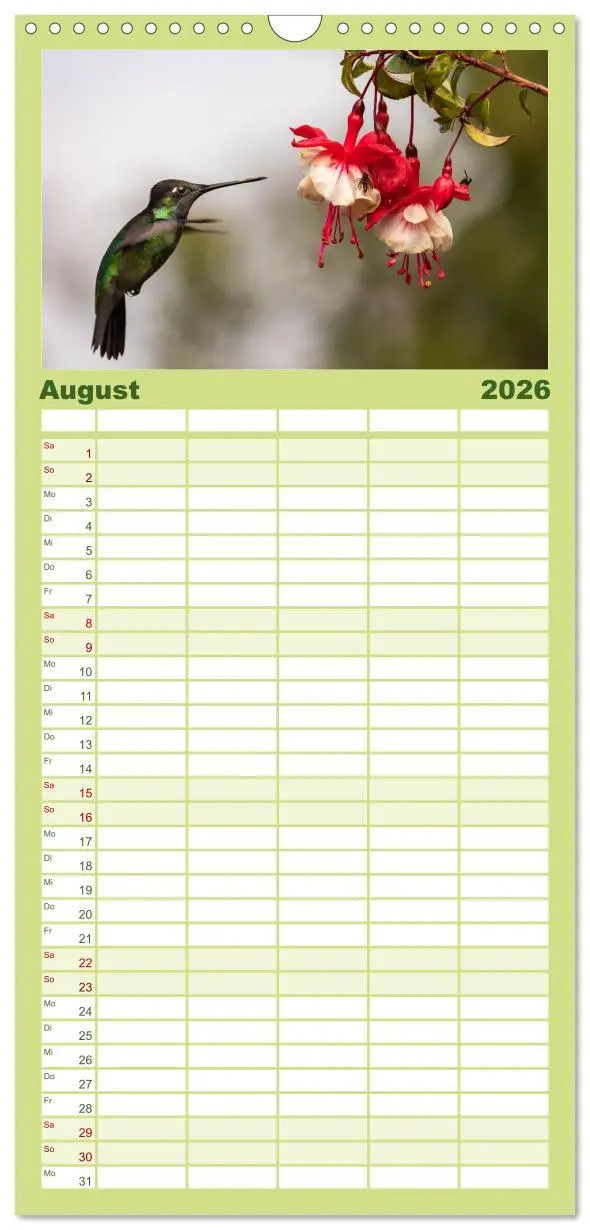 Bild: 9783516503944 | Familienplaner 2026 - Zauberhafte Kolibris in Costa Rica mit 5...