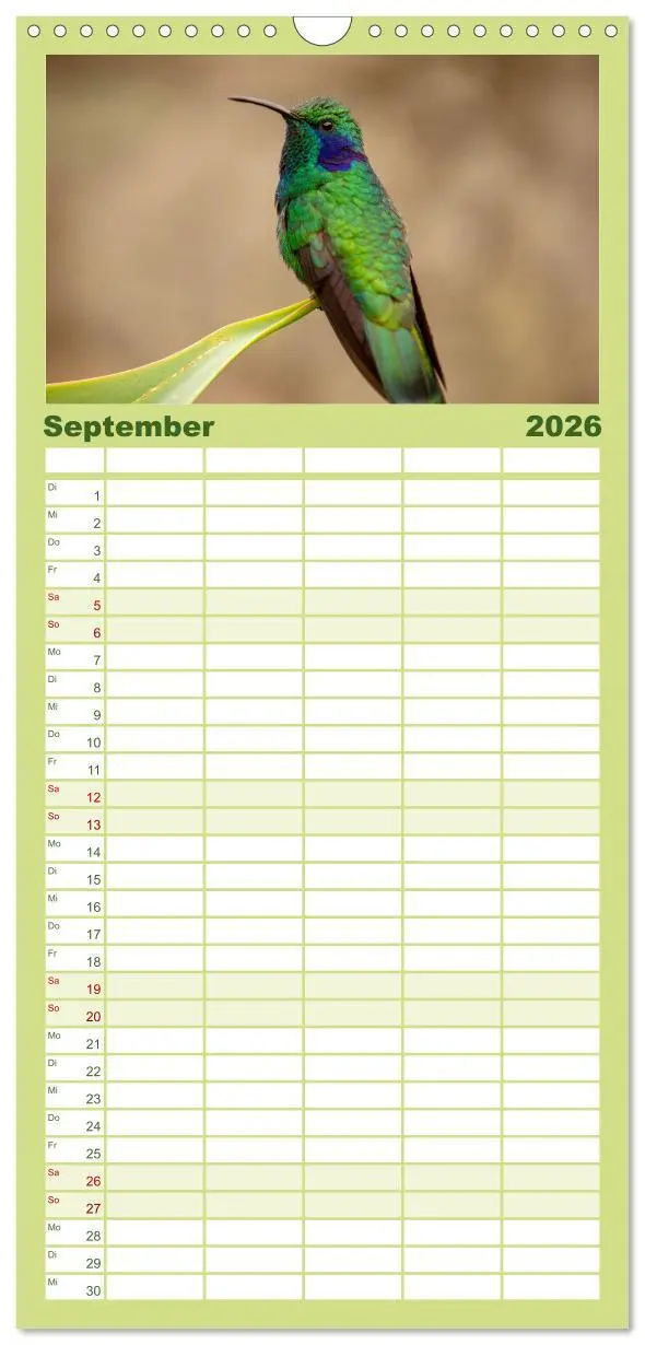 Bild: 9783516503944 | Familienplaner 2026 - Zauberhafte Kolibris in Costa Rica mit 5...