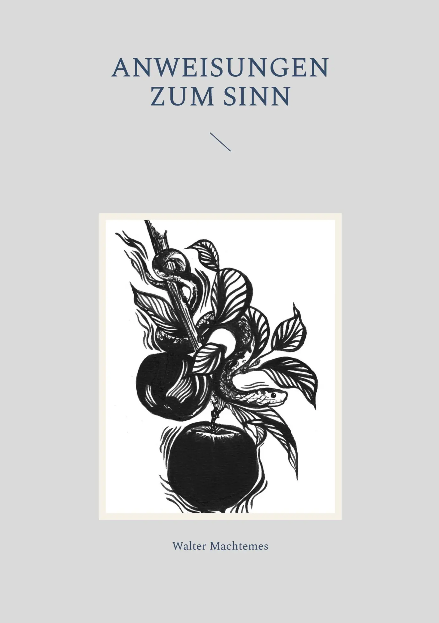 Cover: 9783756873944 | Anweisungen zum Sinn | Walter Machtemes | Taschenbuch | 284 S. | 2022