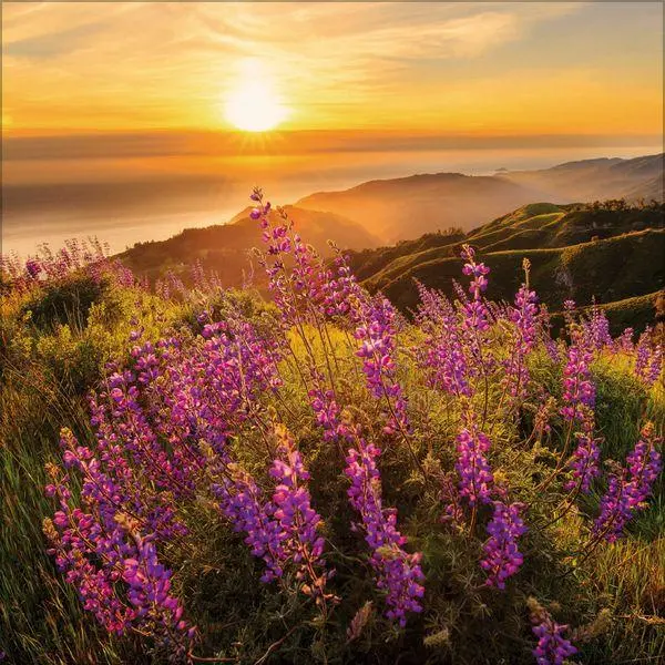 Bild: 9783819303944 | Sunsets 2027 | Verlag Korsch | Kalender | 13 S. | Deutsch | 2027