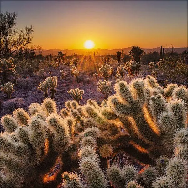 Bild: 9783819303944 | Sunsets 2027 | Verlag Korsch | Kalender | 13 S. | Deutsch | 2027