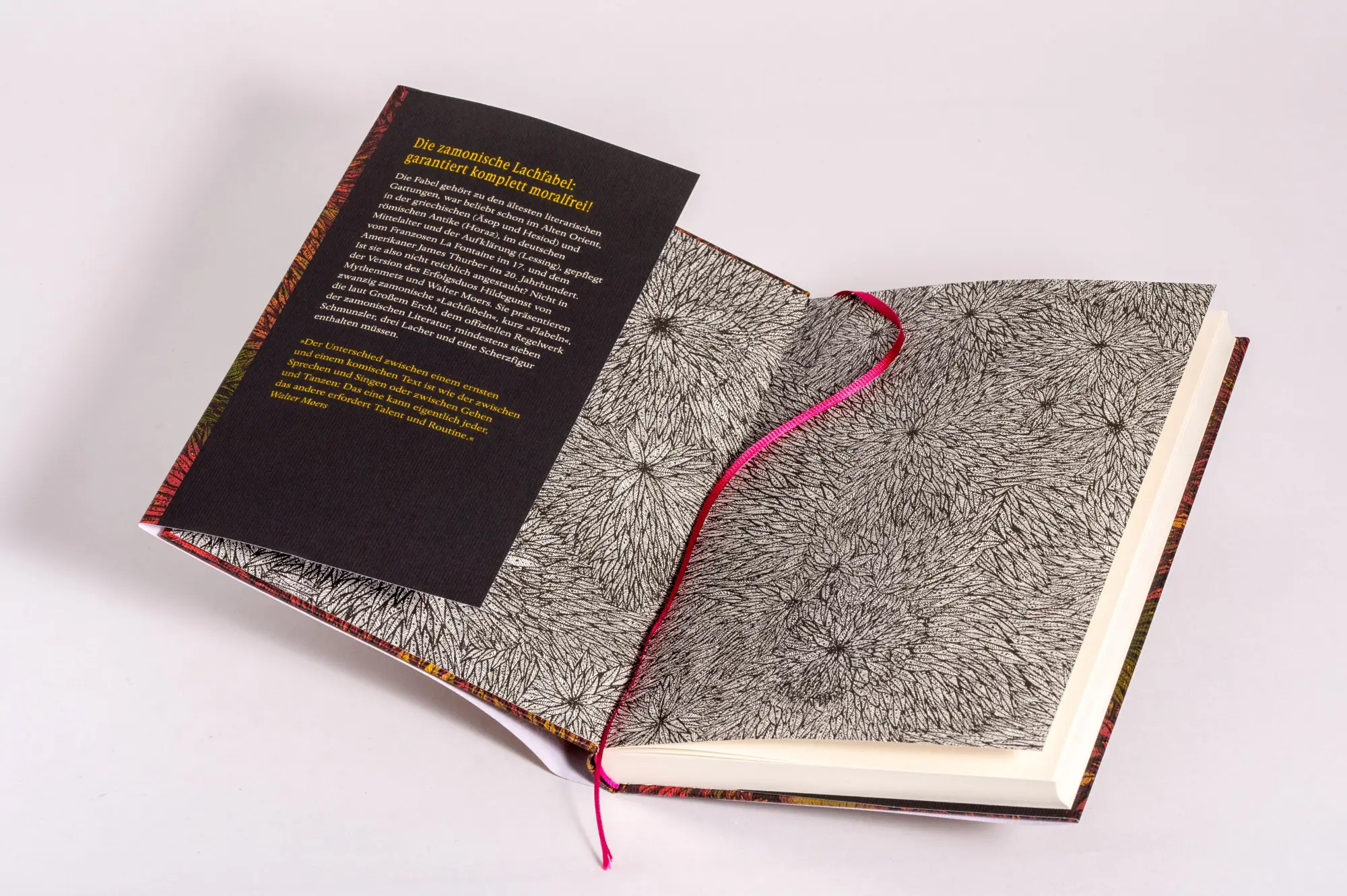 Bild: 9783328604044 | Das Einhörnchen, das rückwärts leben wollte | Walter Moers | Buch