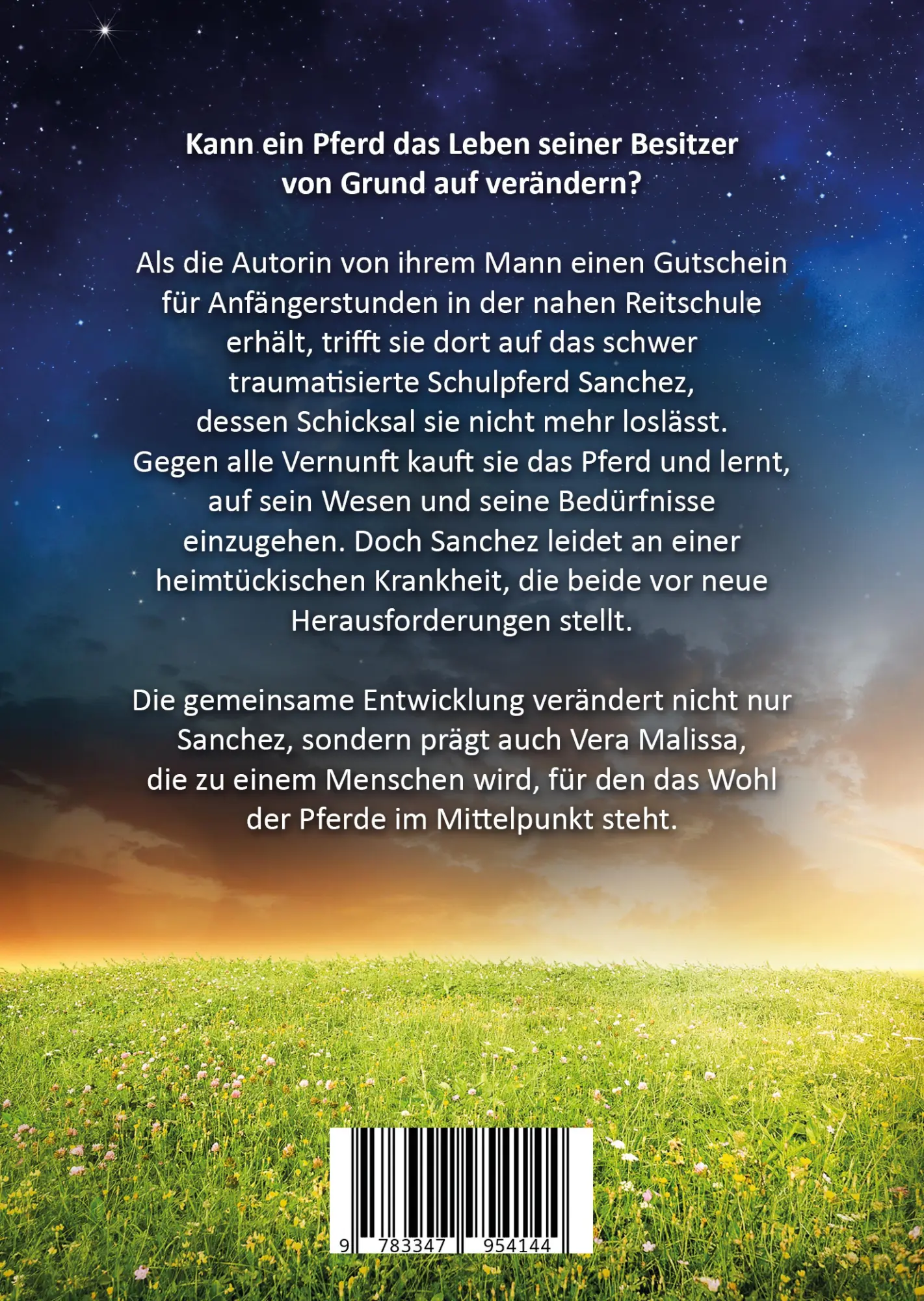 Rückseite: 9783347954144 | Reise zu einer Pferdeseele | Vera Malissa | Taschenbuch | Paperback