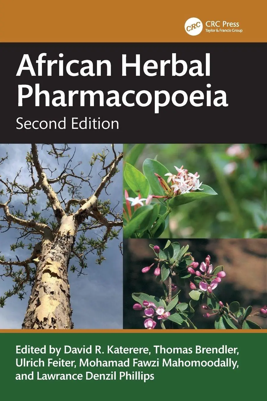 Cover: 9780815374244 | African Herbal Pharmacopoeia | David R. Katerere (u. a.) | Buch | 2026