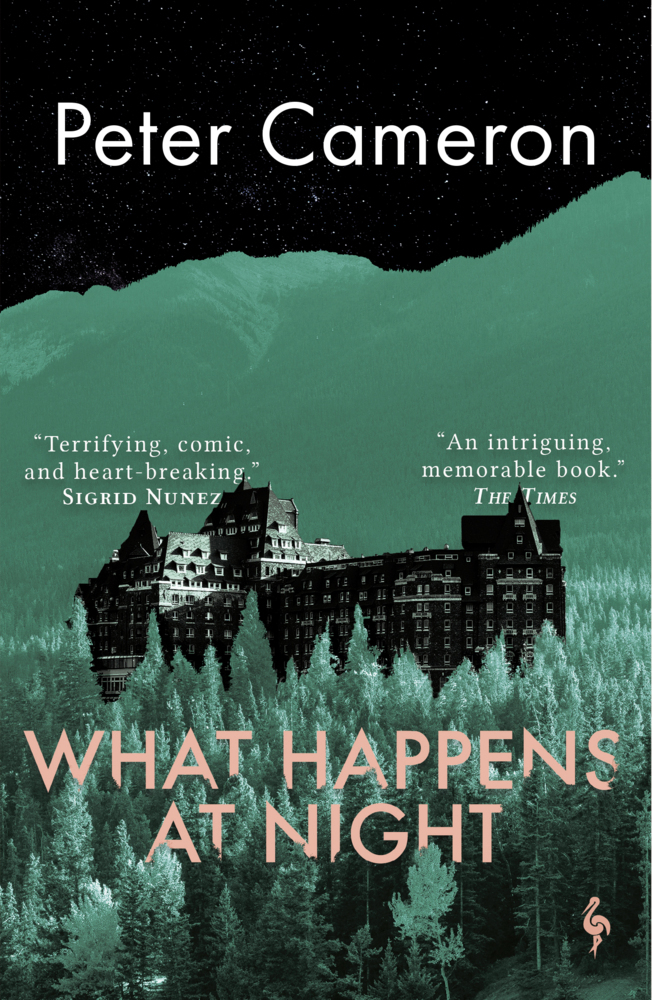 Cover: 9781787704244 | What Happens at Night | Peter Cameron | Taschenbuch | 256 S. | 2022