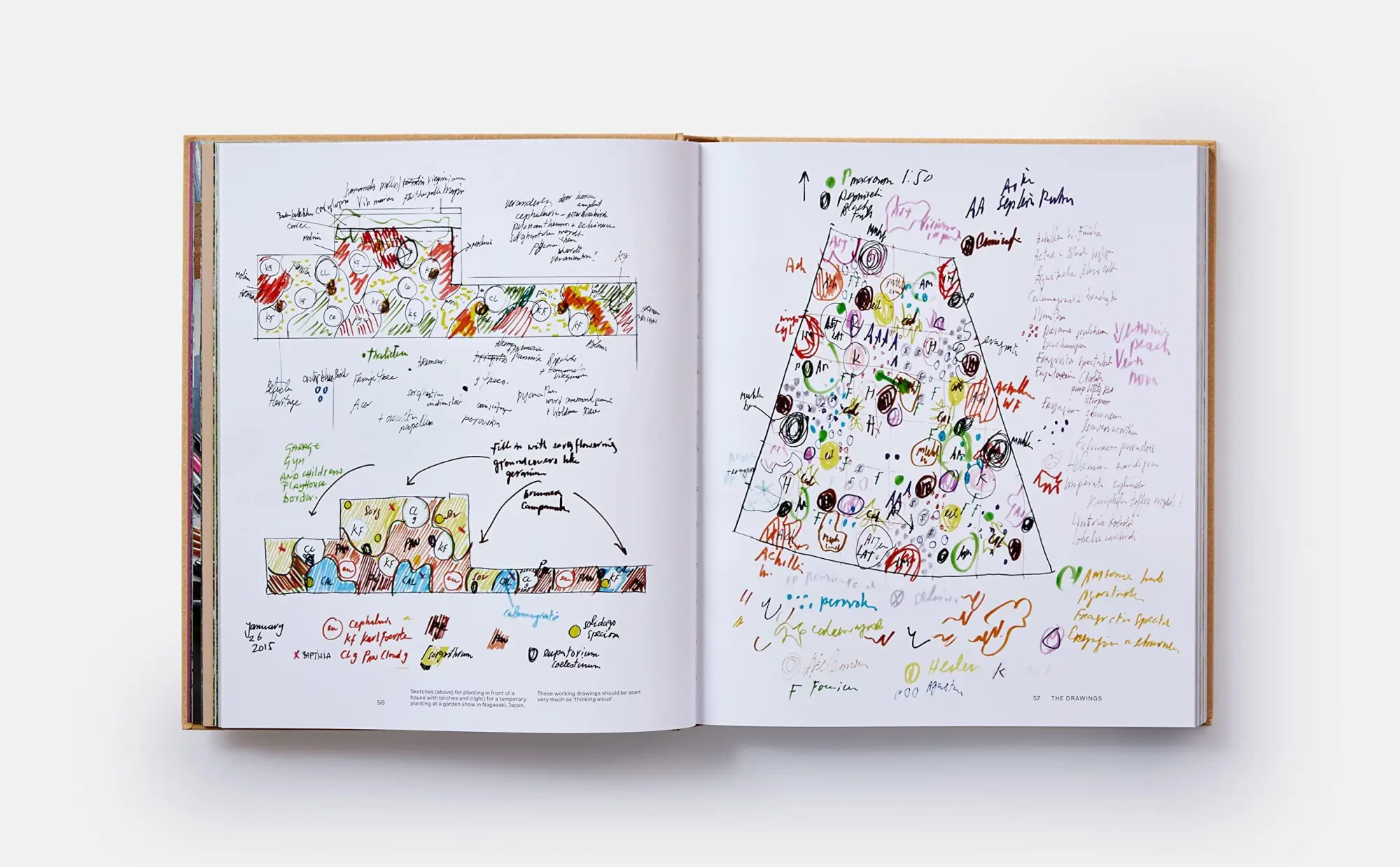 Bild: 9781838664244 | Piet Oudolf At Work | Piet Oudolf (u. a.) | Buch | Phaidon Press