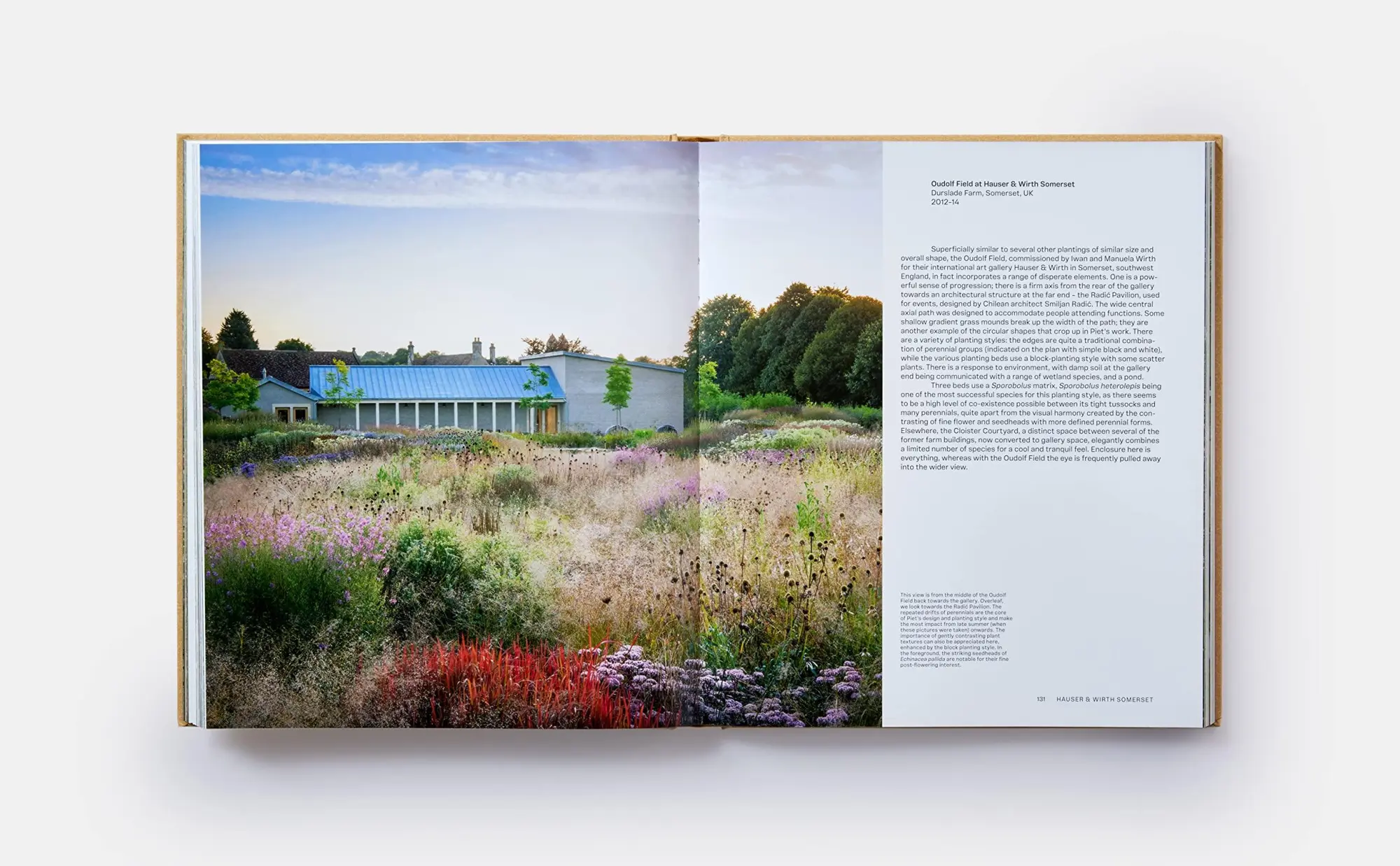 Bild: 9781838664244 | Piet Oudolf At Work | Piet Oudolf (u. a.) | Buch | Phaidon Press