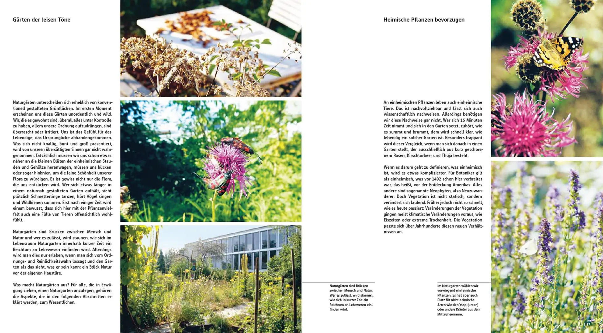 Bild: 9783258084244 | Der gestaltete Naturgarten | Wildromantische Gärten planen und bauen