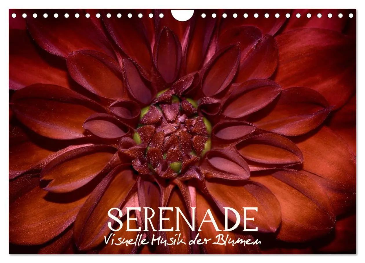Cover: 9783516094244 | Serenade - Visuelle Musik der Blumen (Wandkalender 2026 DIN A4...