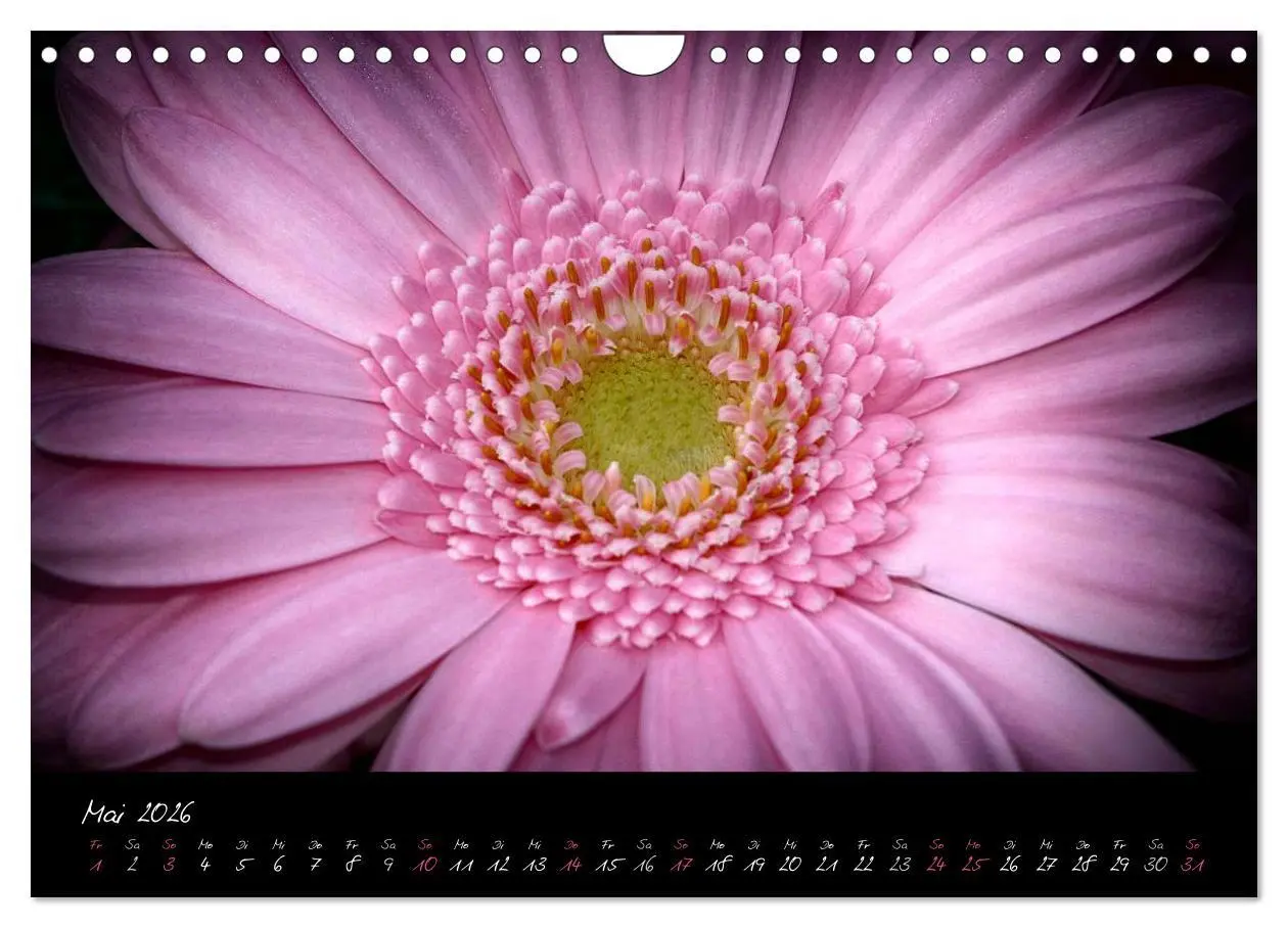 Bild: 9783516094244 | Serenade - Visuelle Musik der Blumen (Wandkalender 2026 DIN A4...