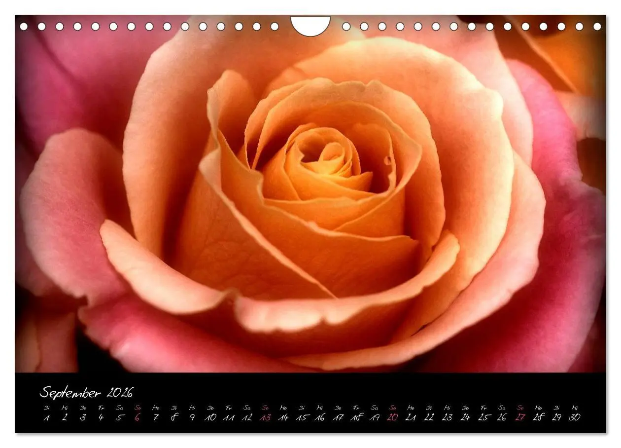 Bild: 9783516094244 | Serenade - Visuelle Musik der Blumen (Wandkalender 2026 DIN A4...