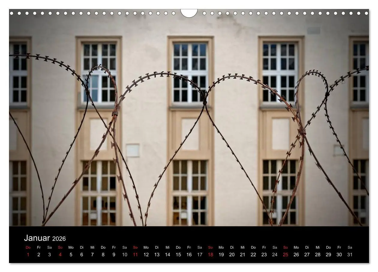 Bild: 9783516164244 | Hinter Gittern (Wandkalender 2026 DIN A3 quer), CALVENDO...