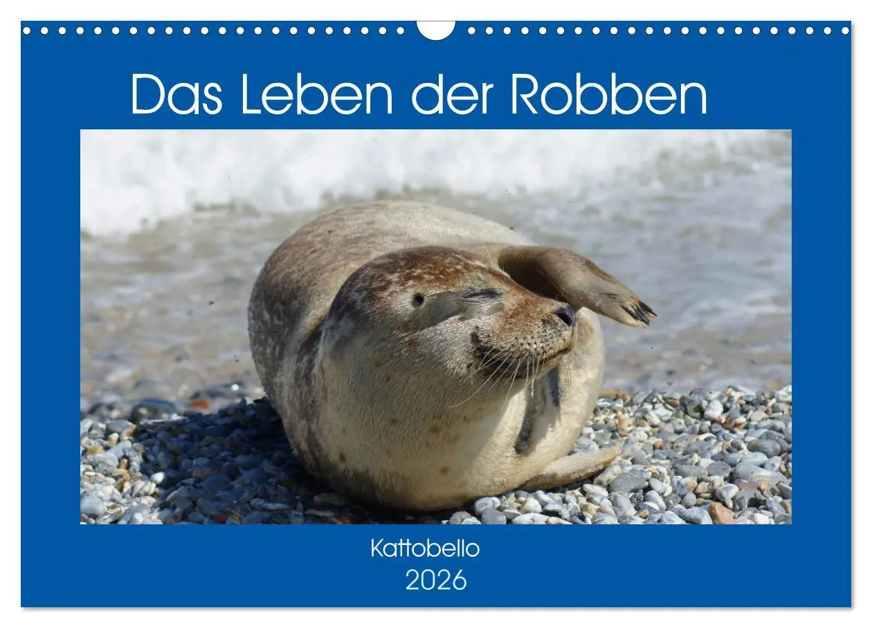 Cover: 9783516234244 | Das Leben der Robben (Wandkalender 2026 DIN A3 quer), CALVENDO...