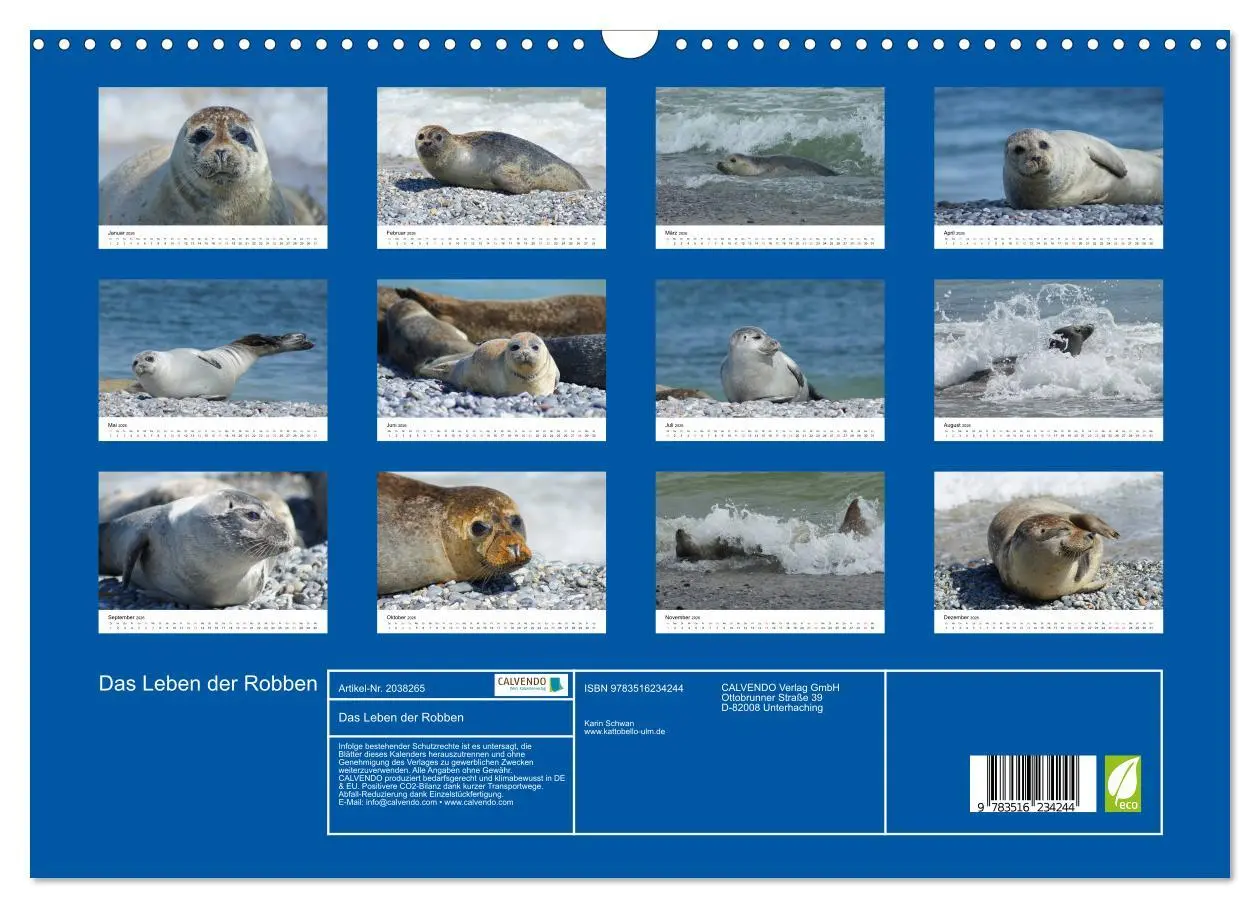 Bild: 9783516234244 | Das Leben der Robben (Wandkalender 2026 DIN A3 quer), CALVENDO...