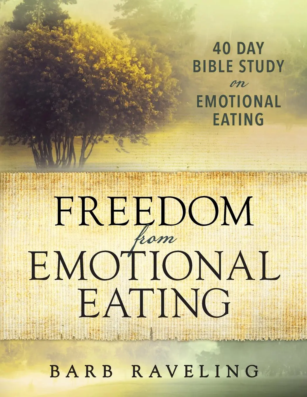 Cover: 9780980224344 | Freedom from Emotional Eating | Barb Raveling | Taschenbuch | Englisch