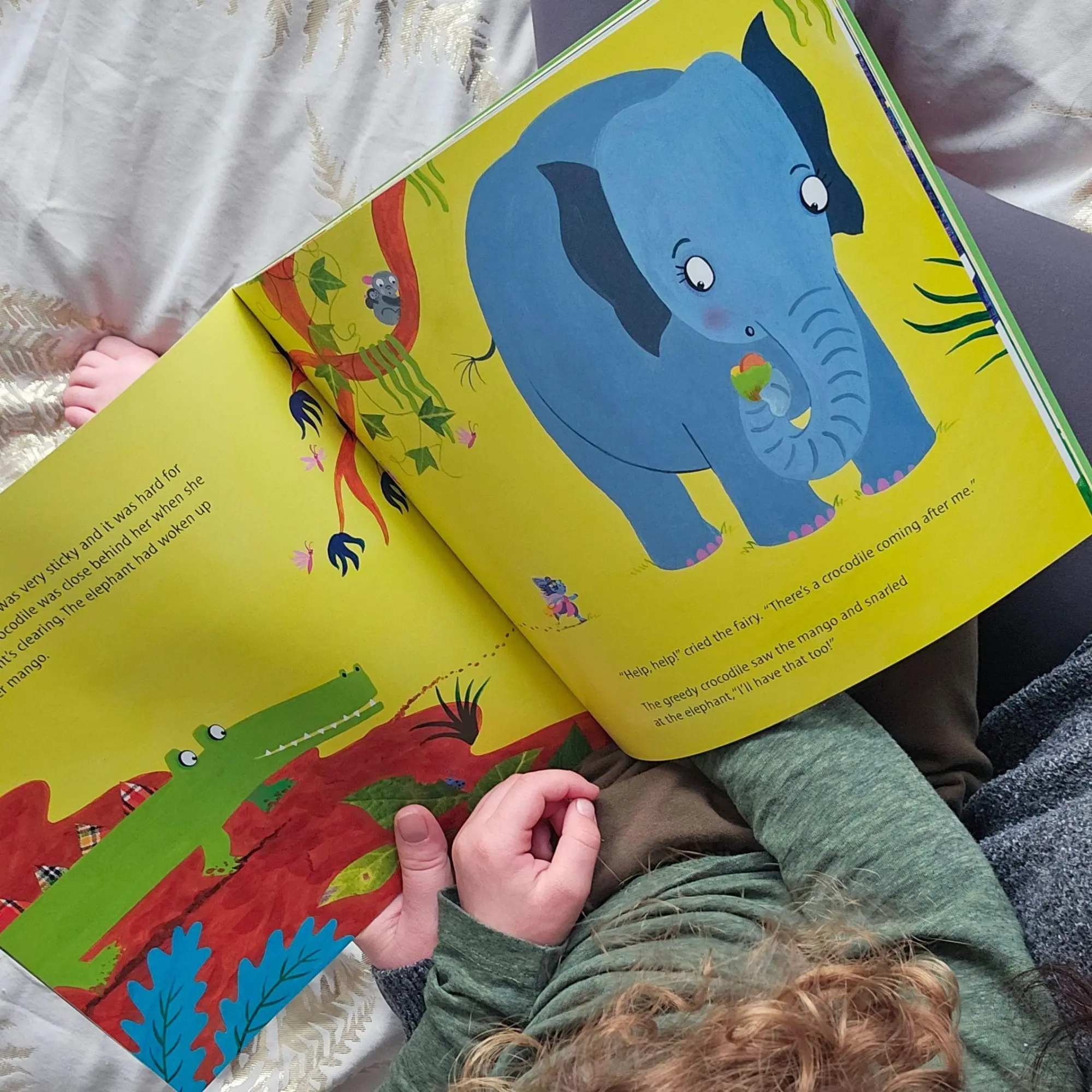 Bild: 9781447284444 | The Tooth Fairy and the Crocodile | Julia Donaldson | Taschenbuch
