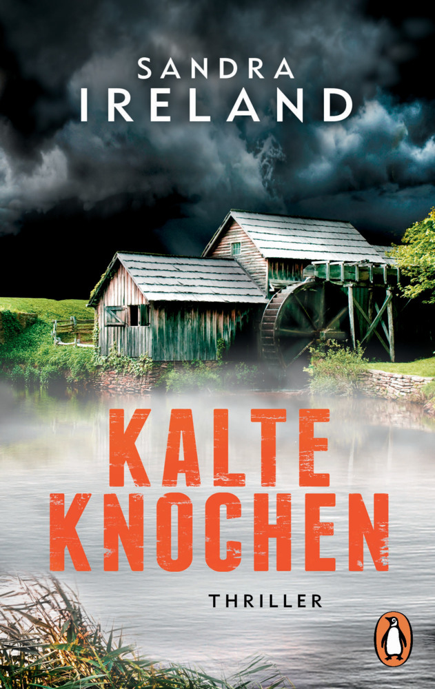 Cover: 9783328104544 | Kalte Knochen | Thriller | Sandra Ireland | Taschenbuch | 336 S.