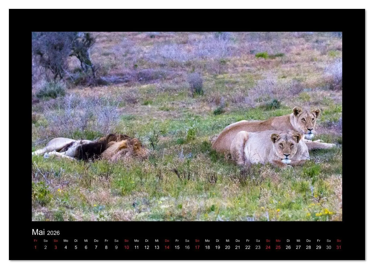 Bild: 9783516134544 | Südafrika - Garden Route (hochwertiger Premium Wandkalender 2026...
