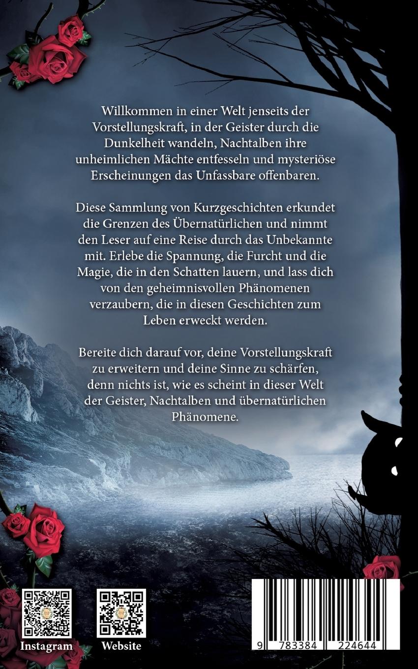 Rückseite: 9783384224644 | Geister der Vergangenheit Band 2 | Kurzgeschichtensammlung | Fisher