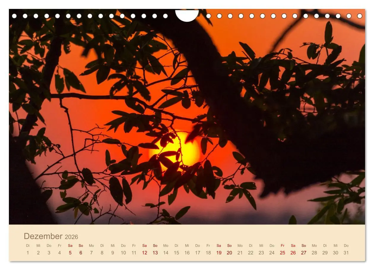 Bild: 9783457344644 | Einmalige Landschaften in Afrika (Wandkalender 2026 DIN A4 quer),...