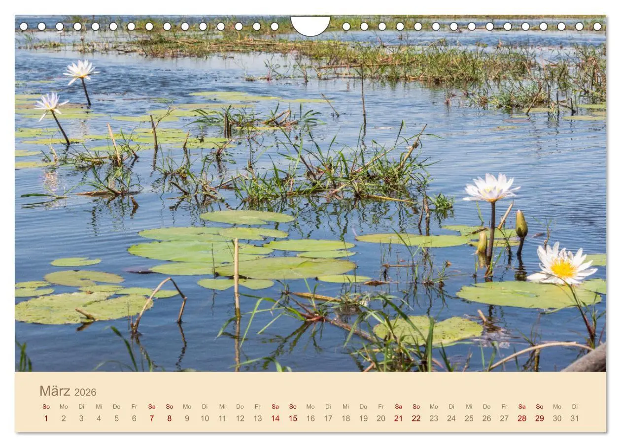 Bild: 9783457344644 | Einmalige Landschaften in Afrika (Wandkalender 2026 DIN A4 quer),...