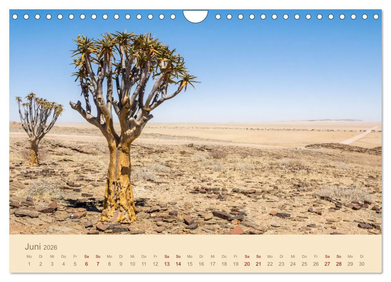 Bild: 9783457344644 | Einmalige Landschaften in Afrika (Wandkalender 2026 DIN A4 quer),...