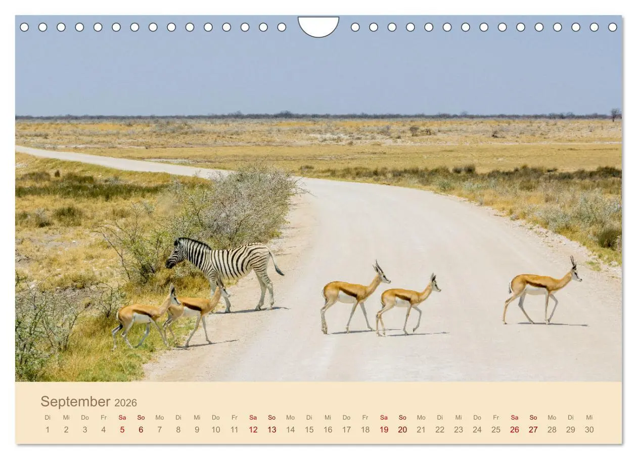 Bild: 9783457344644 | Einmalige Landschaften in Afrika (Wandkalender 2026 DIN A4 quer),...