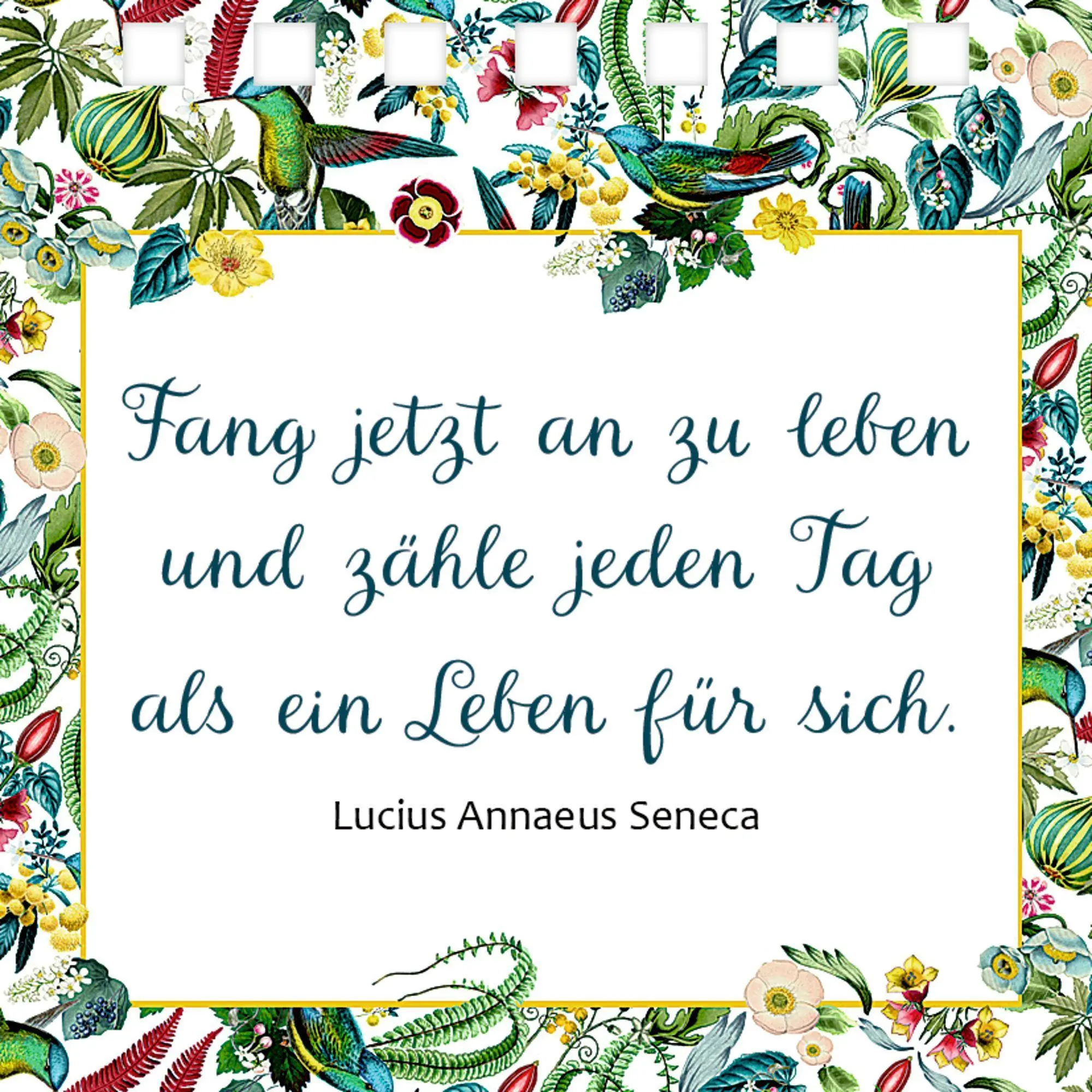 Bild: 9783649644644 | Jeder Tag ist schön | Barbara Behr | Taschenbuch | Ringheftung | 24 S.