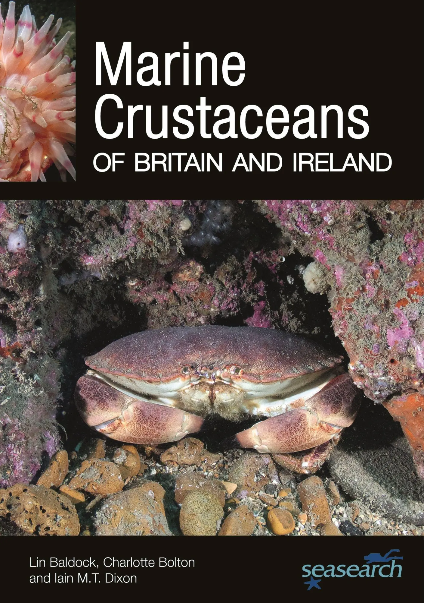 Cover: 9780691274744 | Marine Crustaceans of Britain and Ireland | Charlotte Bolton (u. a.)