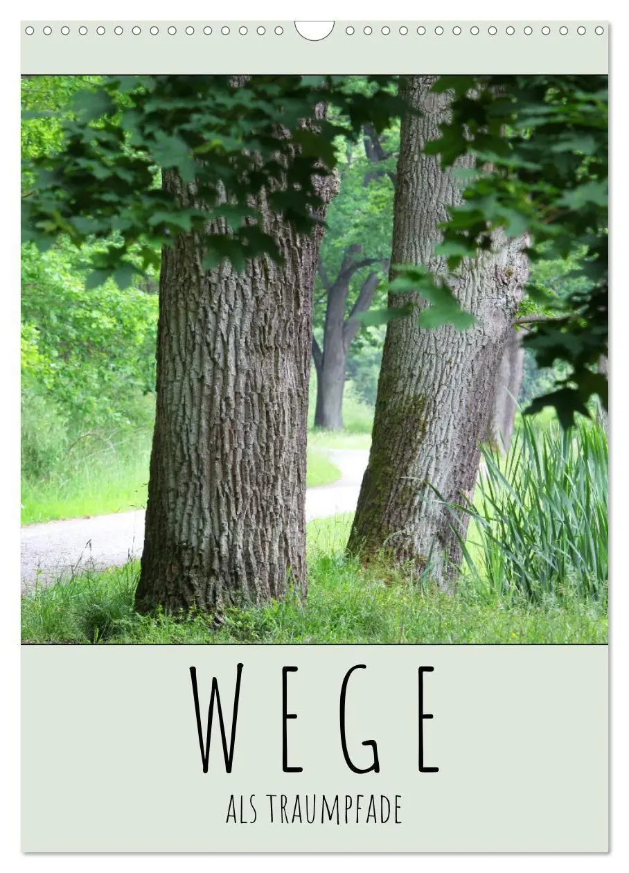 Cover: 9783594254844 | Wege als Traumpfade (Wandkalender 2027 DIN A3 hoch), CALVENDO...