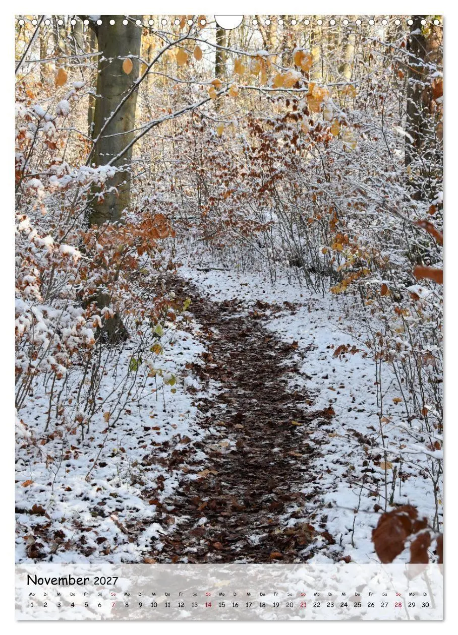 Bild: 9783594254844 | Wege als Traumpfade (Wandkalender 2027 DIN A3 hoch), CALVENDO...