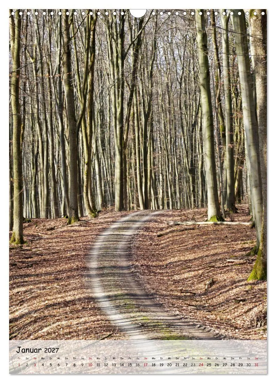 Bild: 9783594254844 | Wege als Traumpfade (Wandkalender 2027 DIN A3 hoch), CALVENDO...