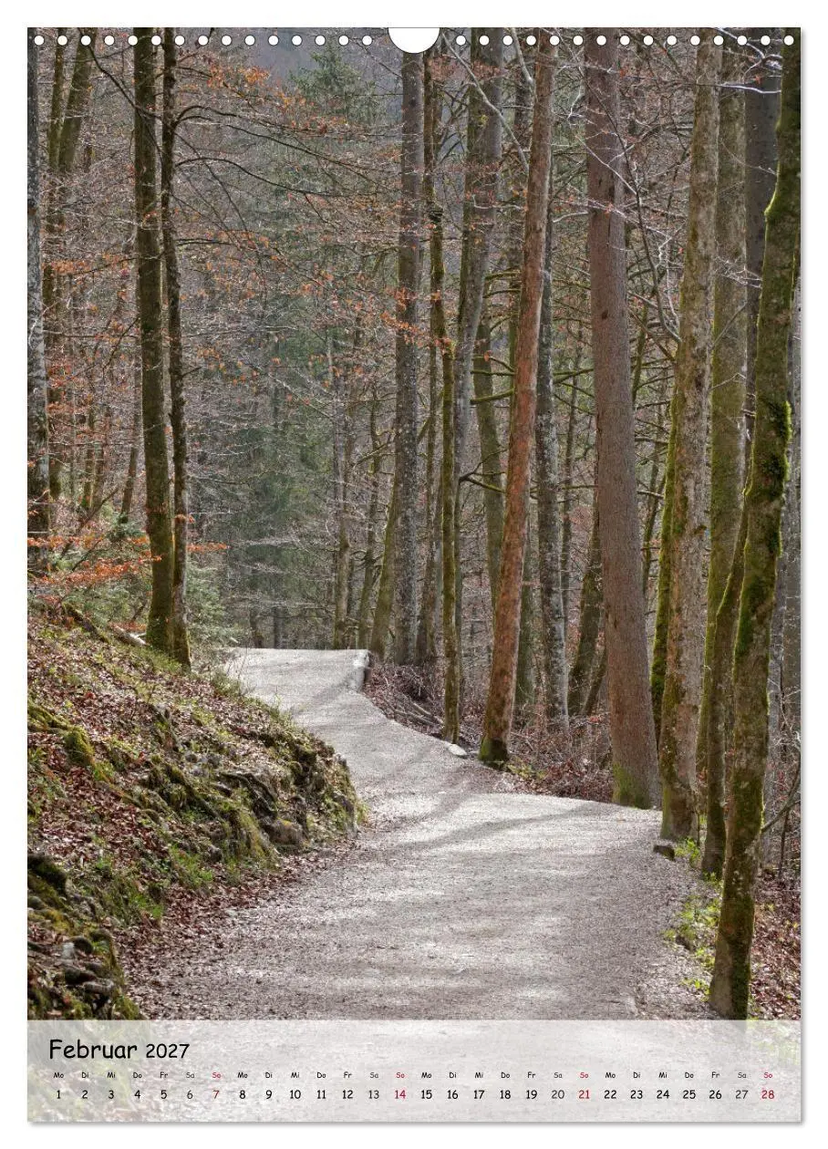 Bild: 9783594254844 | Wege als Traumpfade (Wandkalender 2027 DIN A3 hoch), CALVENDO...