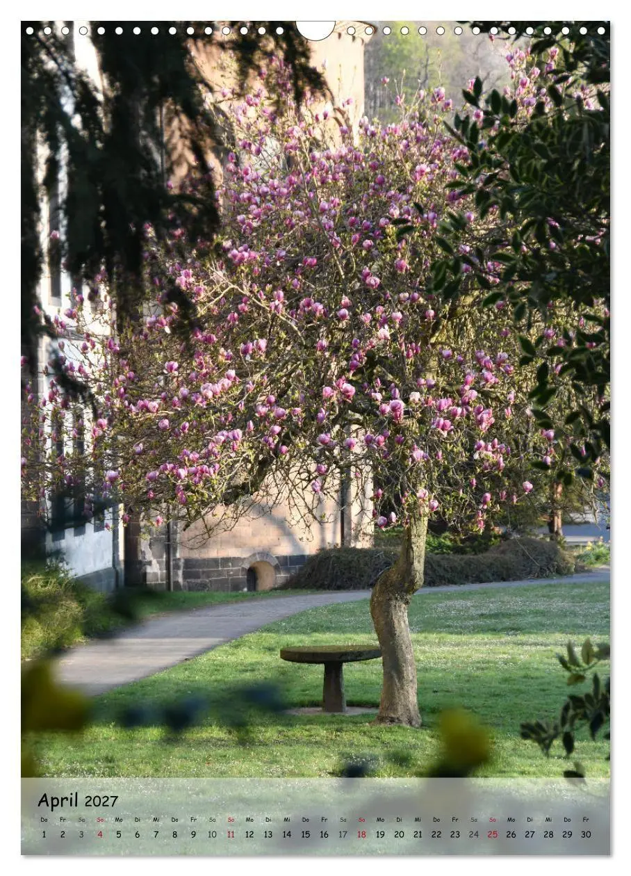 Bild: 9783594254844 | Wege als Traumpfade (Wandkalender 2027 DIN A3 hoch), CALVENDO...
