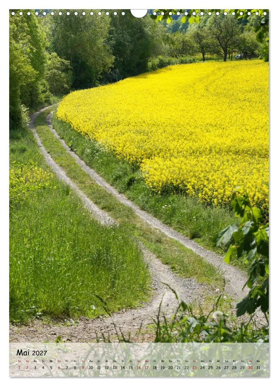 Bild: 9783594254844 | Wege als Traumpfade (Wandkalender 2027 DIN A3 hoch), CALVENDO...