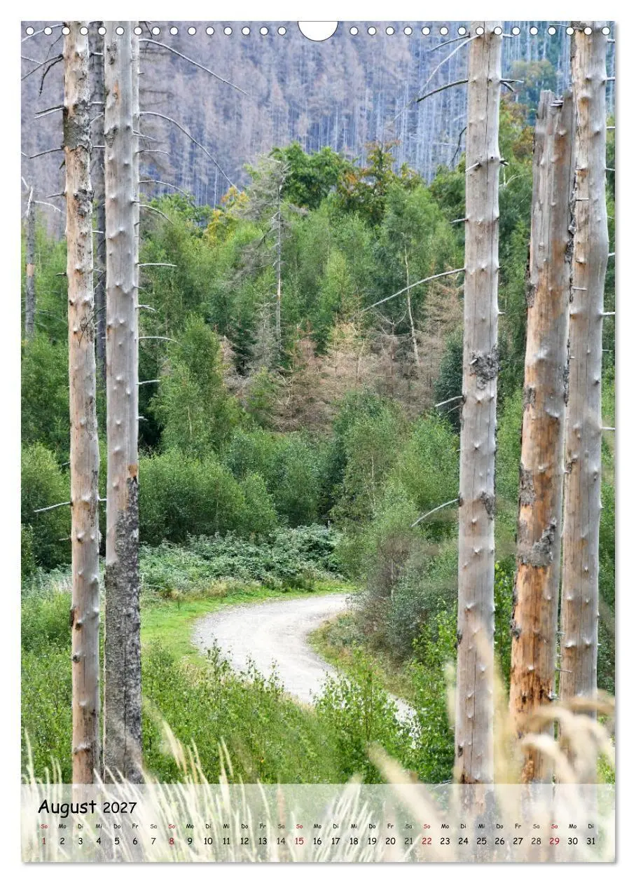 Bild: 9783594254844 | Wege als Traumpfade (Wandkalender 2027 DIN A3 hoch), CALVENDO...