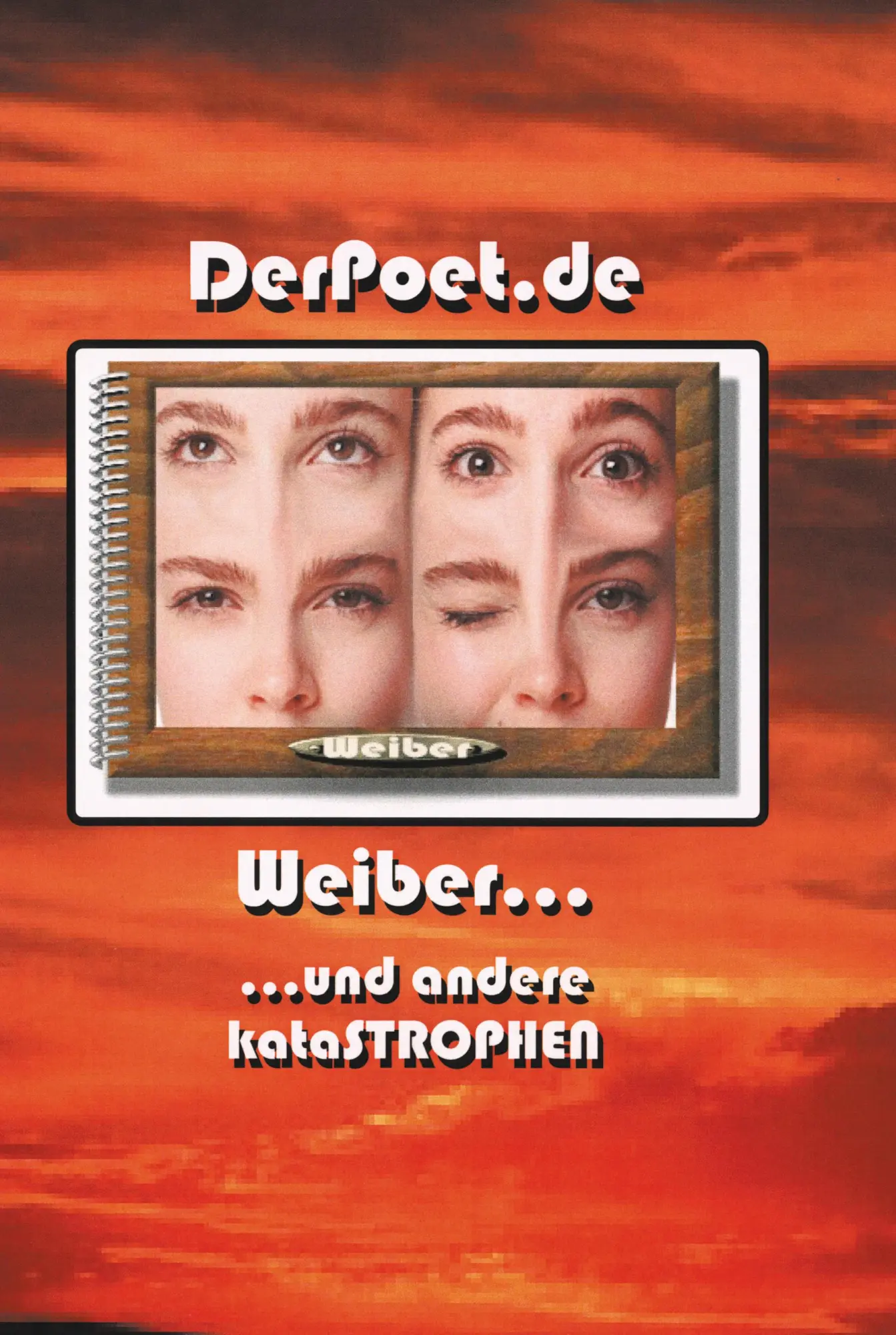 Cover: 9783898114844 | Weiber und andere Katastrophen | Christopher Ray | Taschenbuch | 1999
