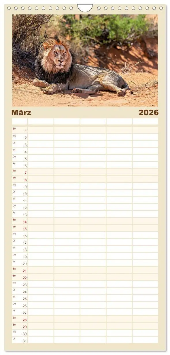 Bild: 9783516714944 | Familienplaner 2026 - Namibias faszinierende Tierwelt mit 5 Spalten...